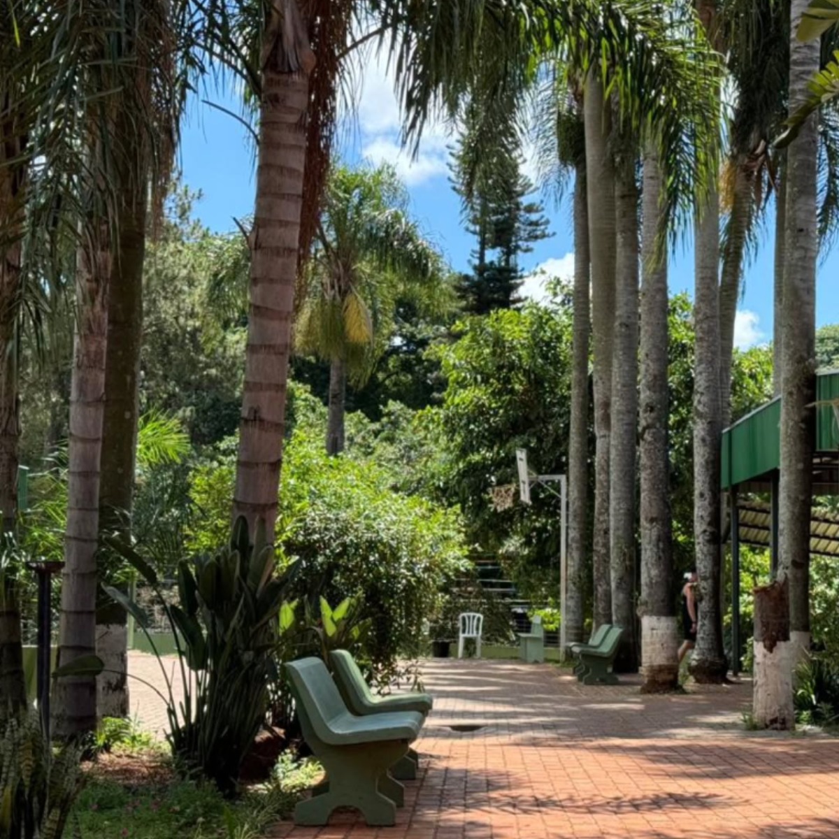 Área Verde